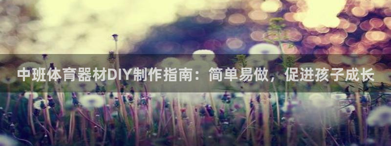 星欧娱乐的官方版本更新内容是什么：中班体育器材DIY