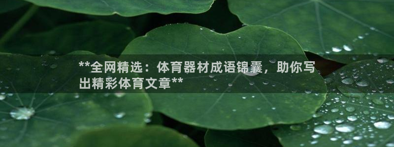 星欧娱乐最建议买的三个游戏账号：**全网精选：体育器