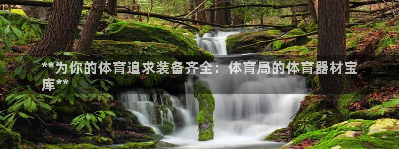 星欧娱乐属于什么档次的公司：**为你的体育追求装备齐