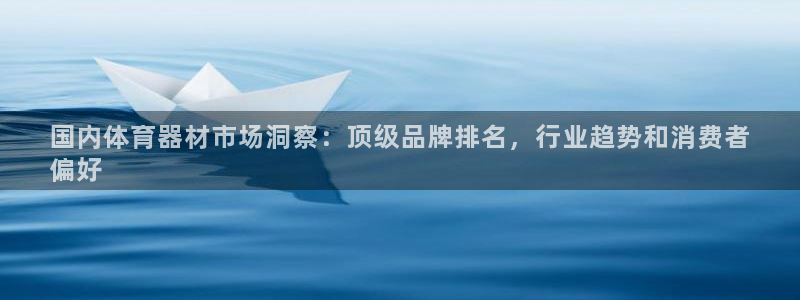 星欧娱乐公司：国内体育器材市场洞察：顶级品牌排名，行
