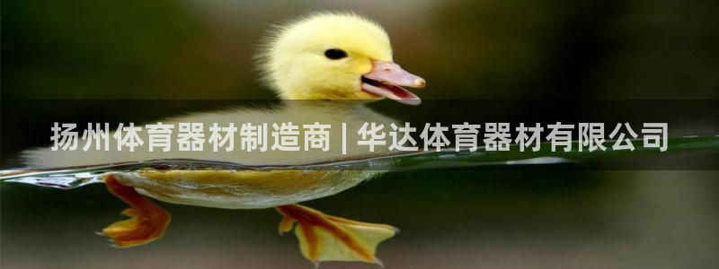 星娱乐online：扬州体育器材制造商 | 华达体育