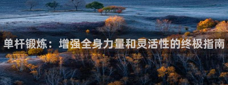 星欧娱乐最建议买的三个产品有哪些内容