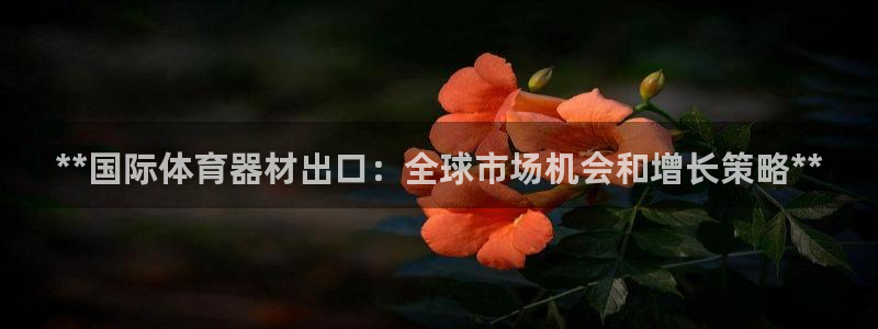 星欧娱乐最建议买的三个游戏：**国际体育器材出口：全