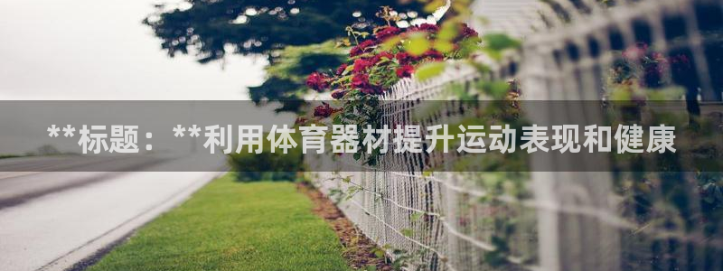 星欧娱乐公司：**标题：**利用体育器材提升运动表现