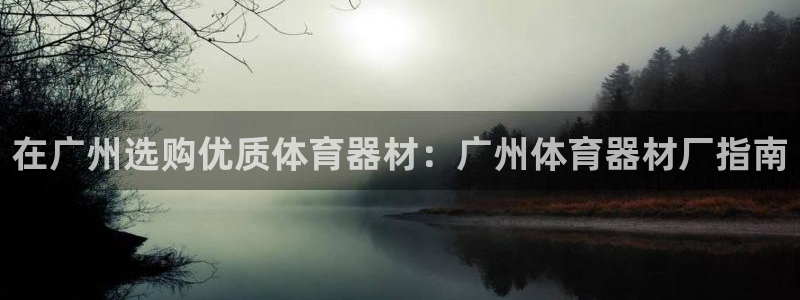 星欧娱乐属于什么档次的软件公司：在广州选购优质体育器