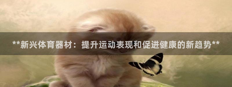 星欧娱乐扣款流程详解视频下载：**新兴体育器材：提升