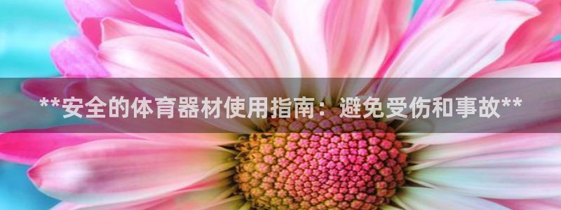 星欧娱乐官方客服联系方式是什么：**安全的体育器材使