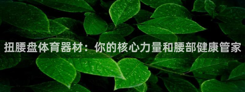 星欧娱乐扣款6II2是什么情况：扭腰盘体育器材：你的