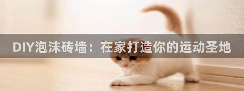 星乐娱乐官网：DIY泡沫砖墙：在家打造你的运动圣地