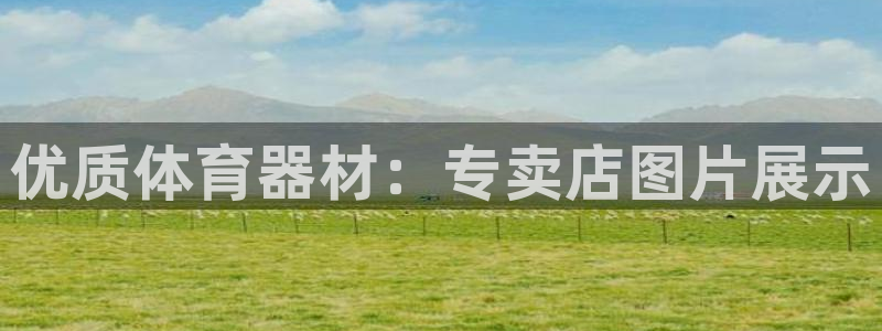 欧亿测速娱乐：优质体育器材：专卖店图片展示
