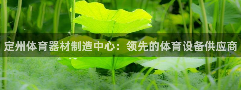 星奥娱乐集团官网：定州体育器材制造中心：领先的体育设