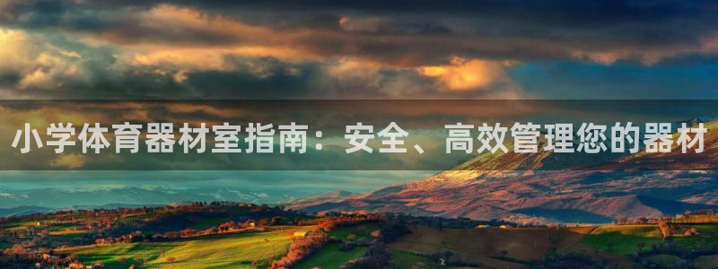 星欧娱乐是正规平台吗安全吗：小学体育器材室指南：安全