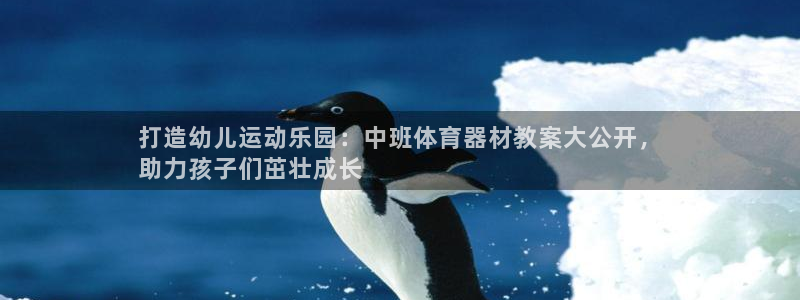 星欧娱乐扣款流程详解图高清：打造幼儿运动乐园：中班体