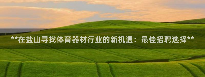 星欧娱乐公司：**在盐山寻找体育器材行业的新机遇：最