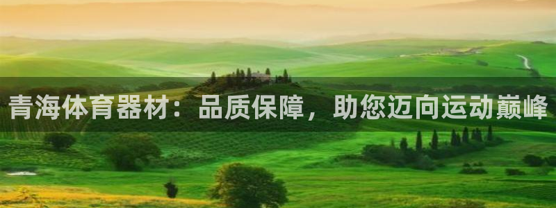 星欧娱乐联游戏评测