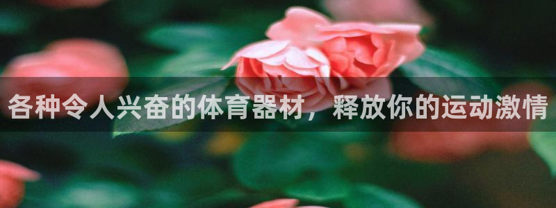 星欧娱乐属于什么档次的公司：各种令人兴奋的体育器材，