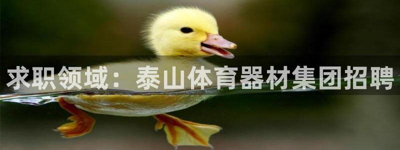 星欧娱乐巴711.112扣费记录查询方法：求职领域：