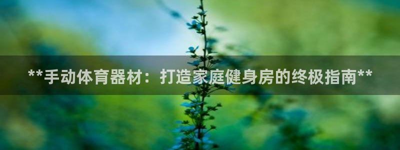 星欧娱乐载711.112使用教程详解：**手动体育器