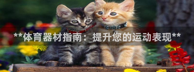 星欧娱乐被扣款7IIII怎么关闭：**体育器材指南：