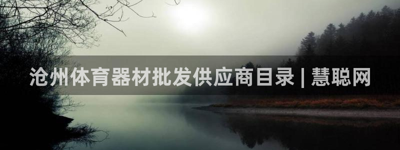 星欧娱乐联4.8.5.6.2.4.3下载：沧州体育器