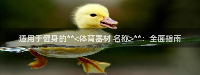 星欧娱乐联售后服务评价：适用于健身的**<体育器材 