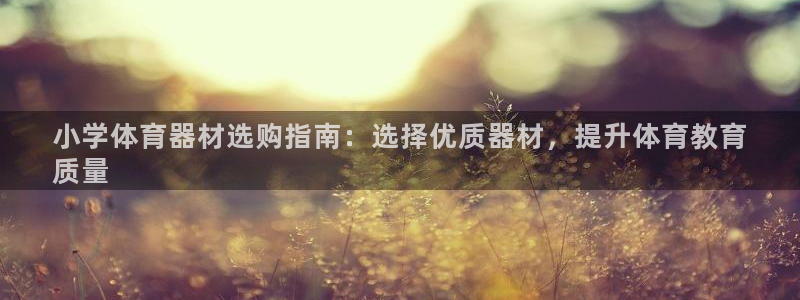 星欧娱乐app最新版本更新内容是什么：小学体育器材选