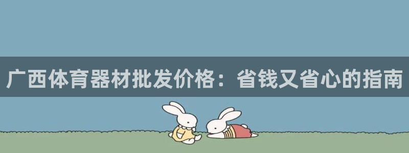 星欧娱乐是正规品牌吗：广西体育器材批发价格：省钱又省