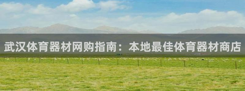 星欧娱乐挂机赚钱：武汉体育器材网购指南：本地最佳体育