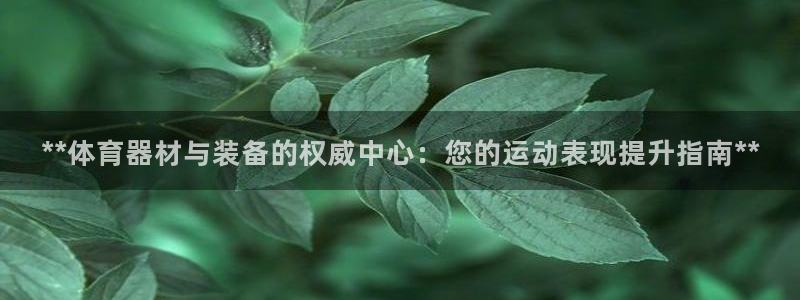星欧娱乐的官方版本更新内容有哪些：**体育器材与装备