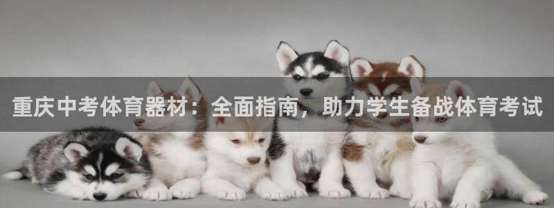 星欧娱乐是正规平台吗安全吗是真的吗：重庆中考体育器材