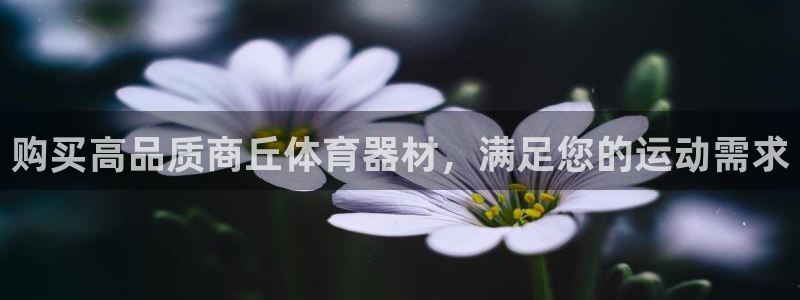 星娱乐online创作的原声胡歌吴磊