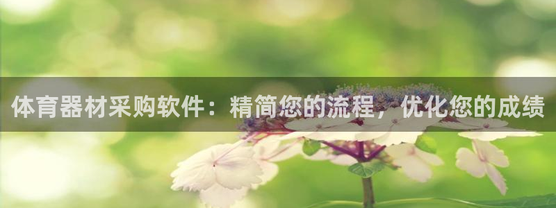 星欧娱乐扣款流程详解图片：体育器材采购软件：精简您的