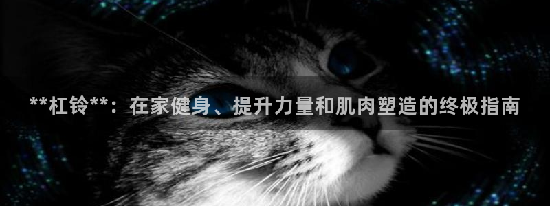 星奥娱乐集团股份有限公司官网：**杠铃**：在家健身、提升力