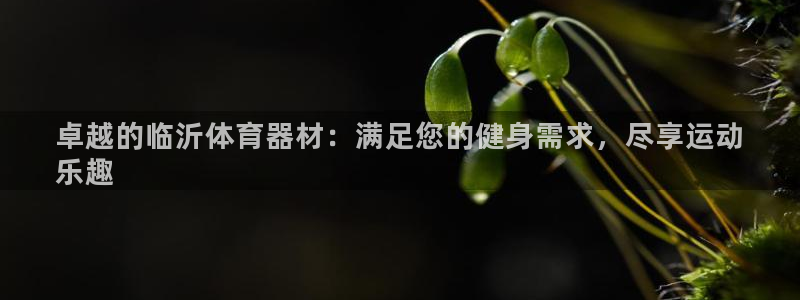 星欧娱乐最建议买的三个产品是什么：卓越的临沂体育器材