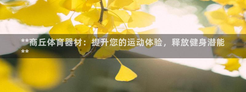 星欧娱乐最建议买的三个游戏：**商丘体育器材：提升您