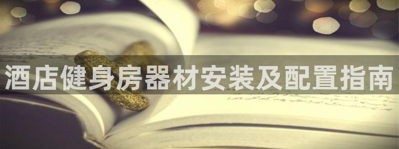 星欧娱乐挂机教程下载