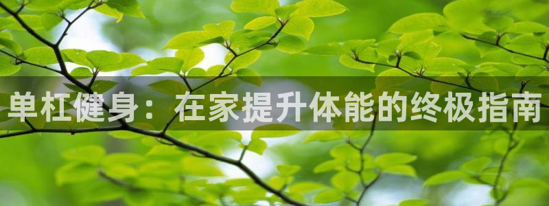 星奥娱乐集团怎么样：单杠健身：在家提升体能的终极指南