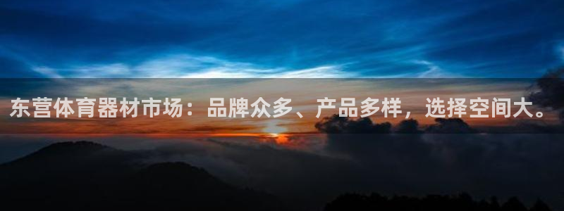 星欧娱乐属于什么档次的公司啊