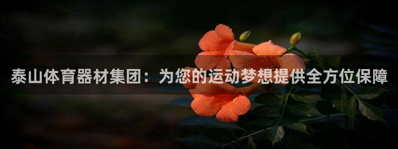 星欧娱乐公司
