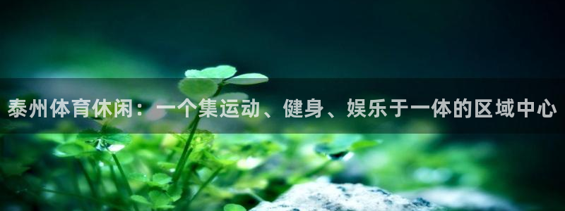 星奥娱乐集团股份有限公司怎么样