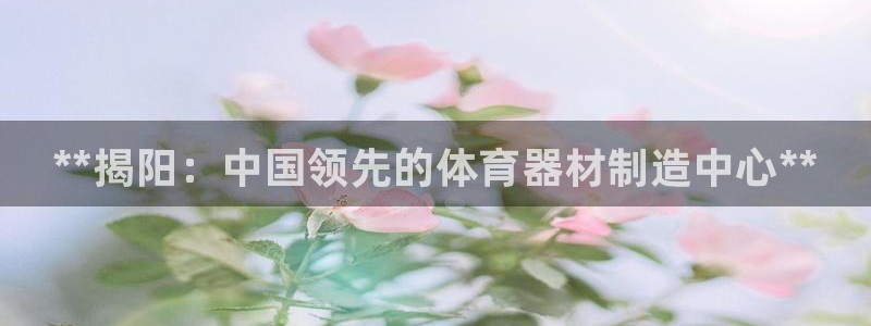 星欧娱乐下载最新版本更新内容：**揭阳：中国领先的体育器材制 