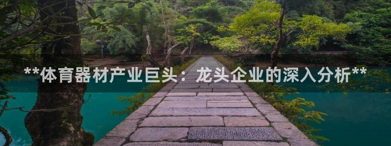 星娱乐online张译：**体育器材产业巨头：龙头企业的深入
