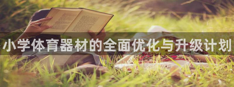 星欧娱乐和嫲薇他的区别是什么