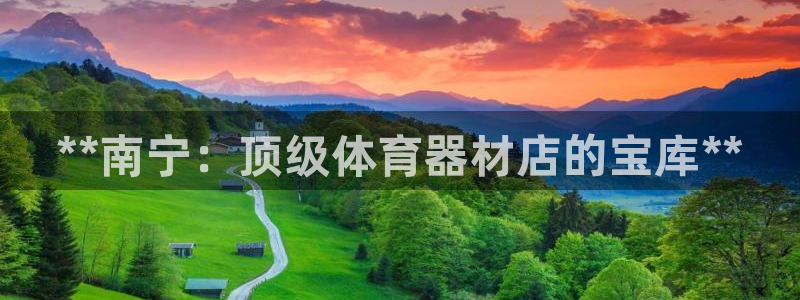 星欧娱乐平台怎么样可靠吗：**南宁：顶级体育器材店的宝库** 