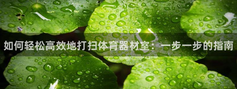 星欧娱乐官网：如何轻松高效地打扫体育器材室：一步一步的指南 
