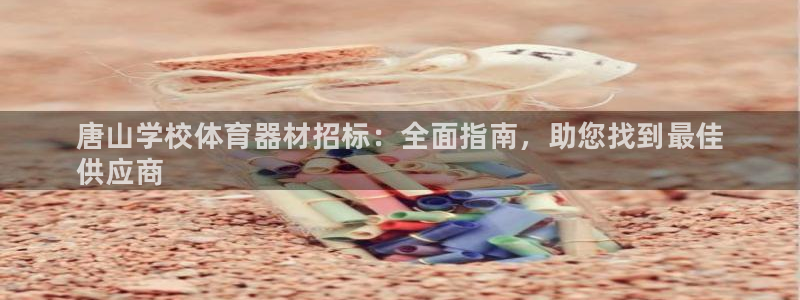 星欧娱乐彩票软件下载官网：唐山学校体育器材招标：全面指南，助
