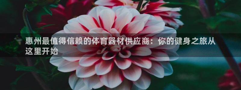 星欧娱乐平台怎么样啊安全吗：惠州最值得信赖的体育器材供应商：