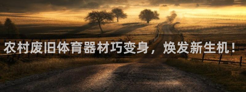 星欧娱乐游戏官网：农村废旧体育器材巧变身，焕发新生机！