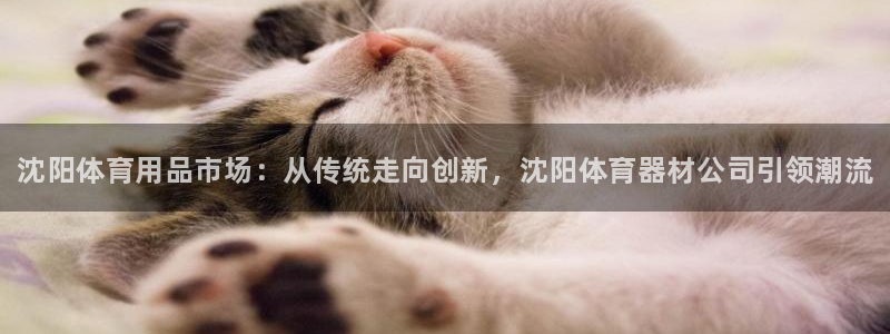 星欧娱乐工711.112扣费通知：沈阳体育用品市场：从传统走