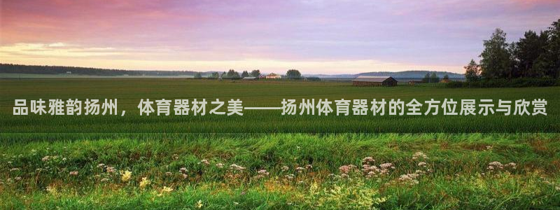 星欧娱乐最建议买的三个产品有哪些